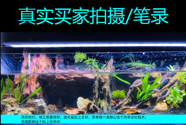 079c62fa-7de0-47d6-a5ce-687ba017f9bf.jpe