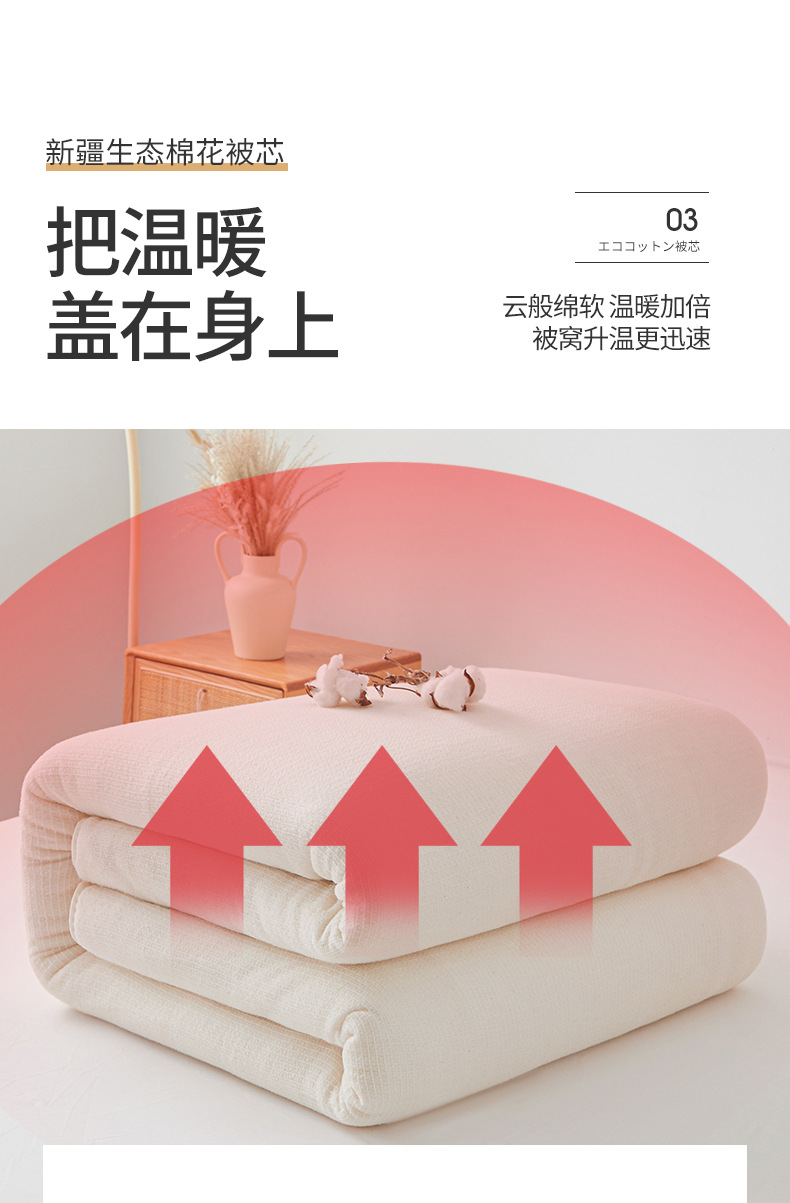 刘丰瑞-新疆生态棉花被芯_14.jpg