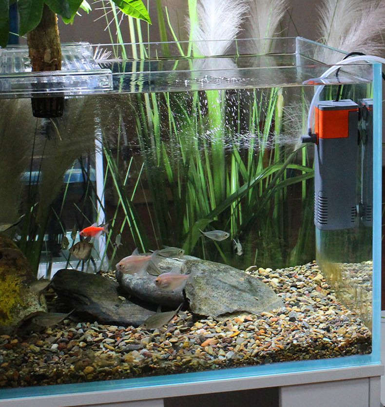 b1dddeff-b725-41ab-845f-88ca1a66d092.jpe