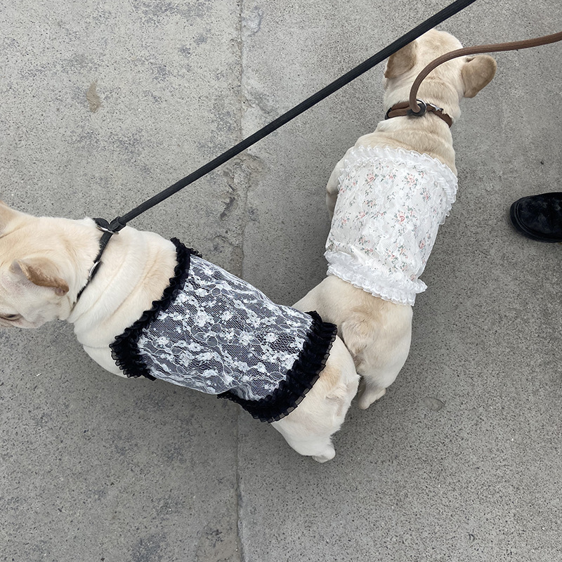 微信图片_20220114212246