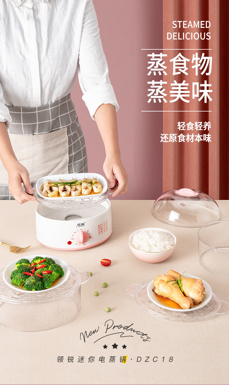 领锐电热蒸笼_01