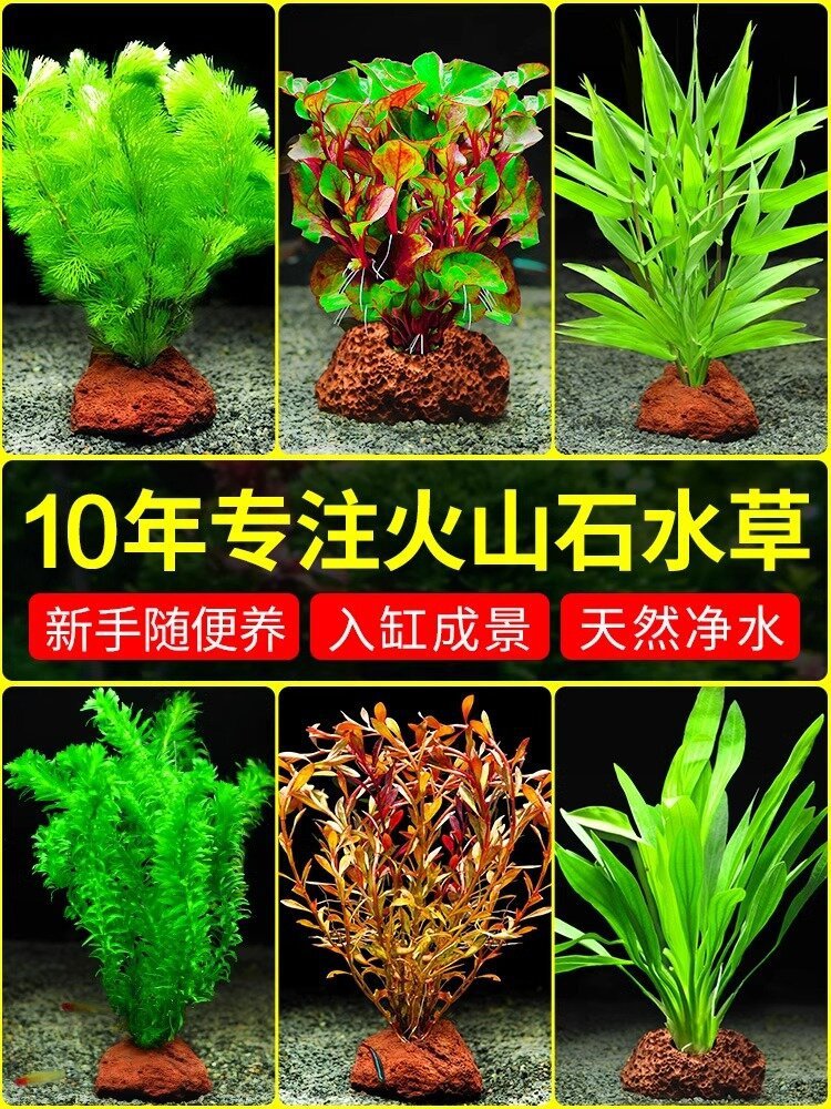 3758ee73-c1e1-4ce1-9a52-80b301cec2de.jpe