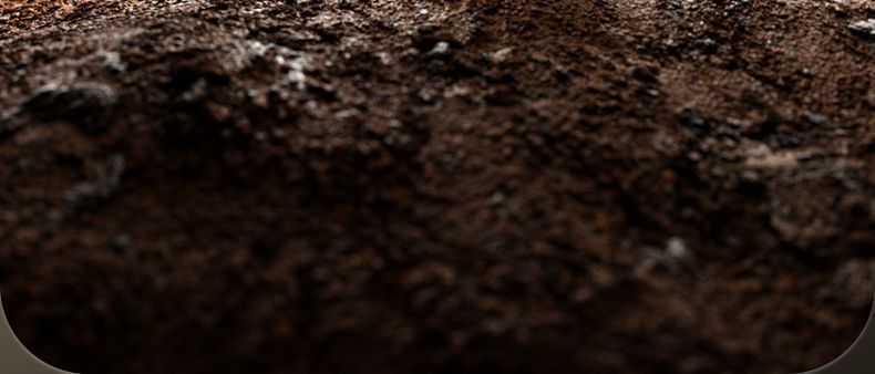 9730b5a2-c3c6-4467-a646-d346c583db56.jpe