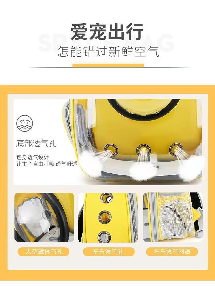 02bf5a89-e19d-4cec-9f80-bf8fcece0445.jpe