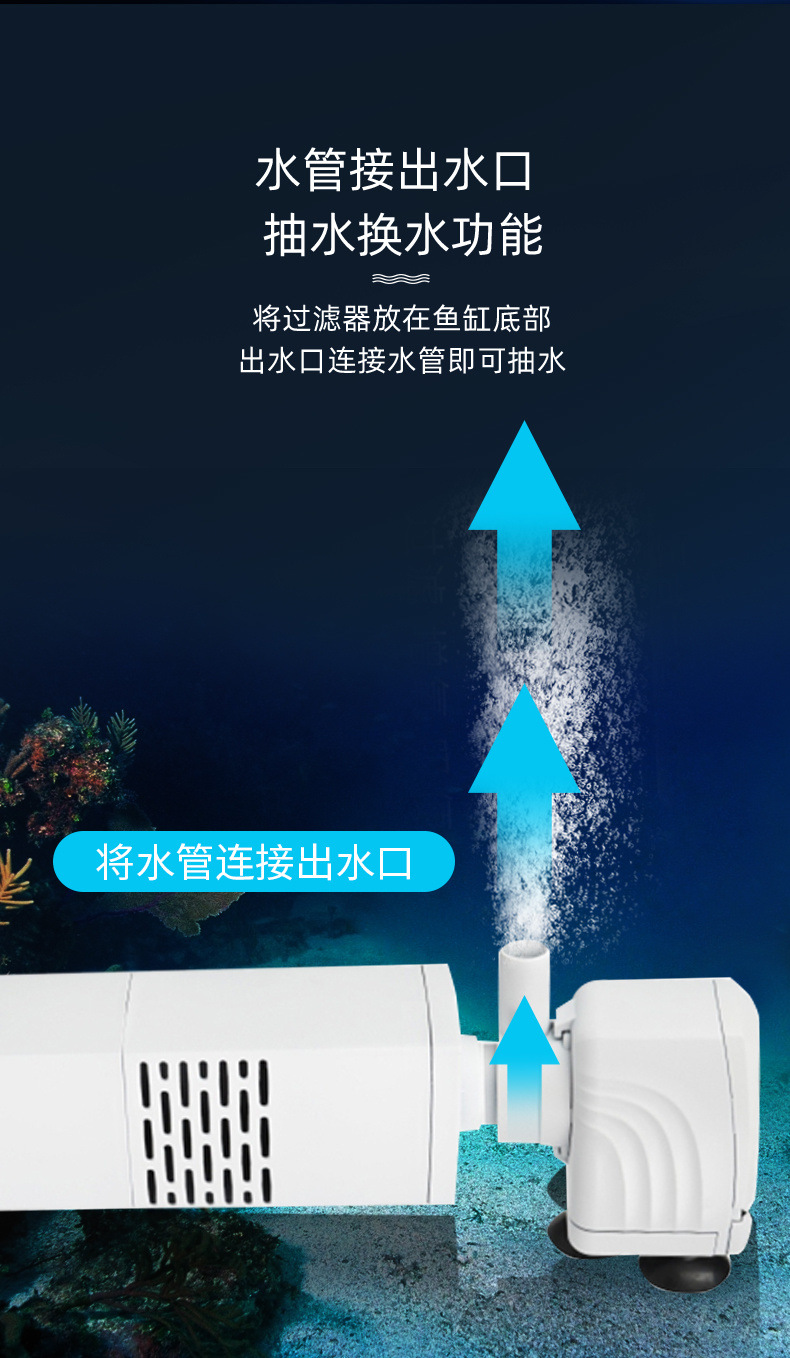 1e932bb5-2c7b-4db2-b07e-b42921689335.jpe