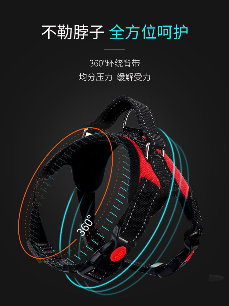 71b34286-e18b-4524-a7cb-3ea822983b89.jpe