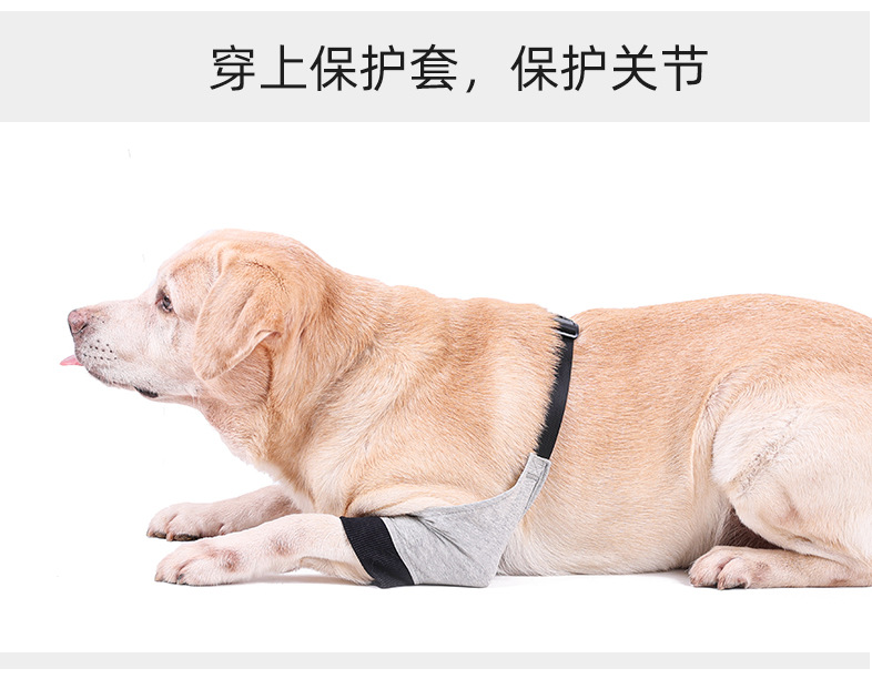 PD60100狗狗前腿保护_03.jpg