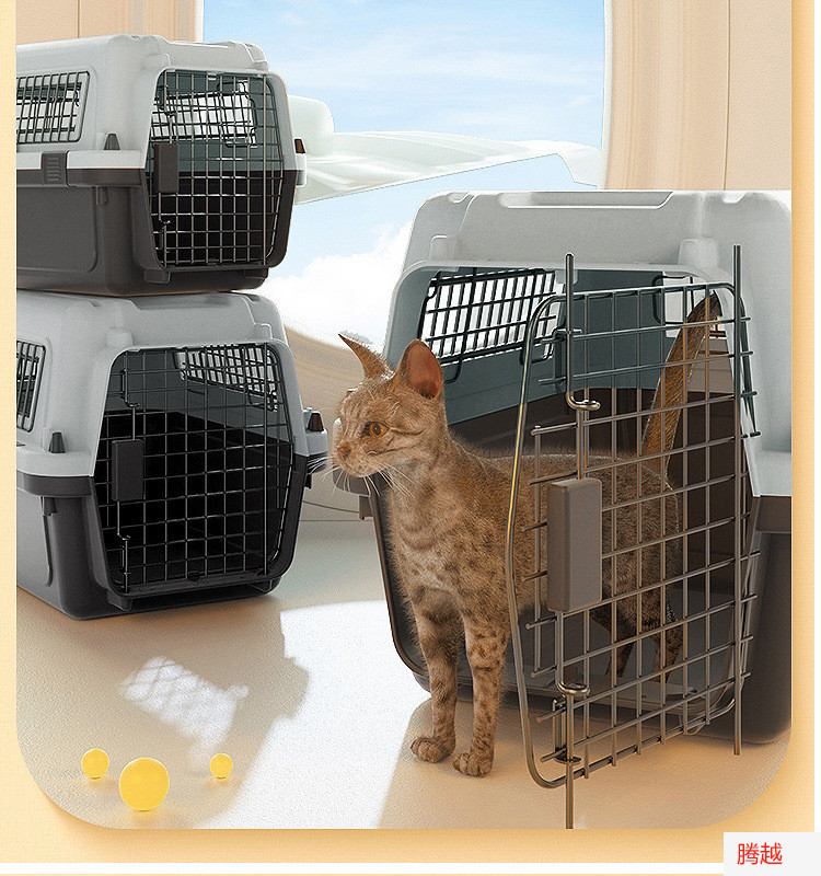 5b401383-482e-48fe-892e-18fb41bcd5d3.jpe