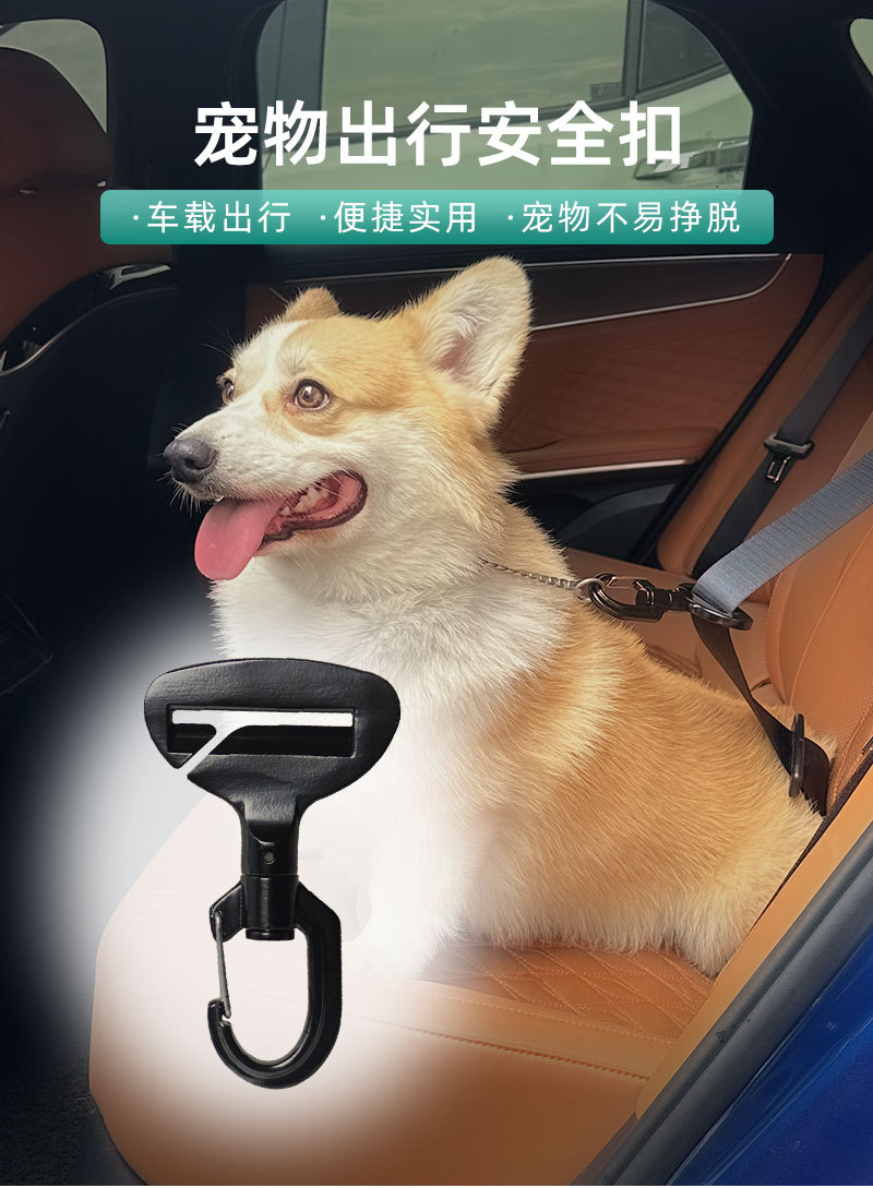 宠物俺去扣车用.jpg