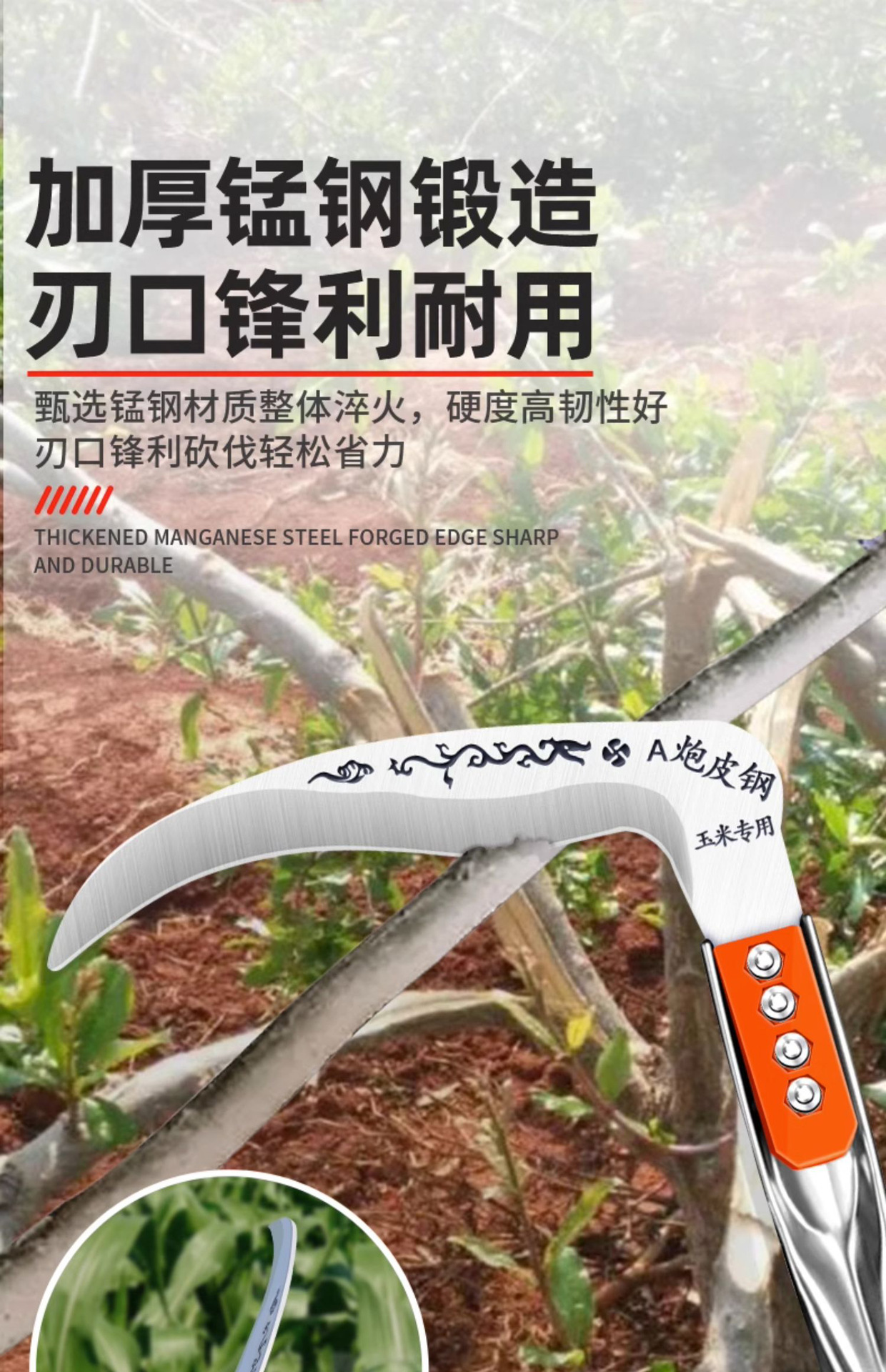 详情_011.jpg