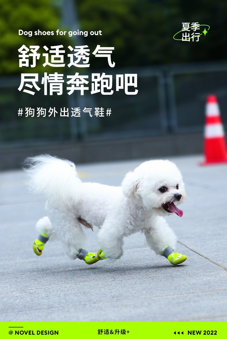 QQ图片20250402095538