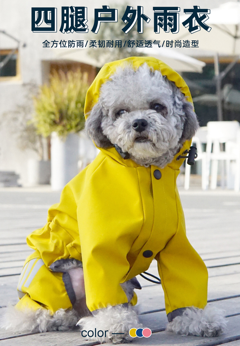 O1CN0123hCFN1oJTxELahcs_!!9352