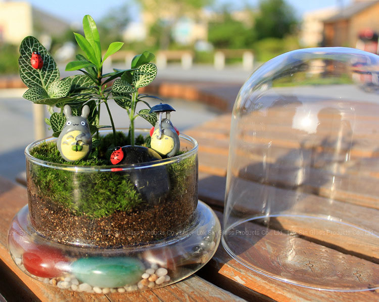 2041222957_1842579716