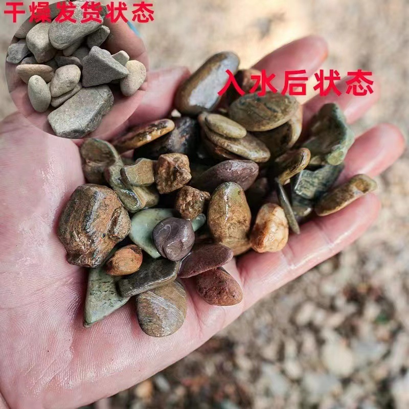 cd51efb1b8615ccb4f0b7285138799