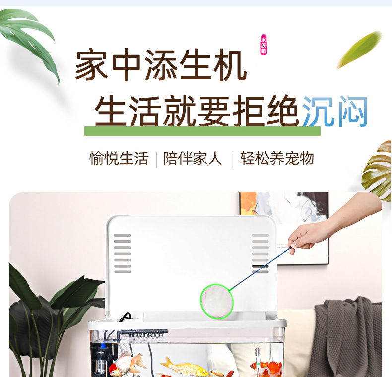 76c37350-c858-4a29-a774-984dae488c5c.jpe