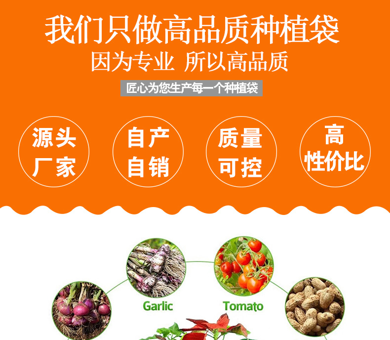 彩色种植袋2_01.jpg