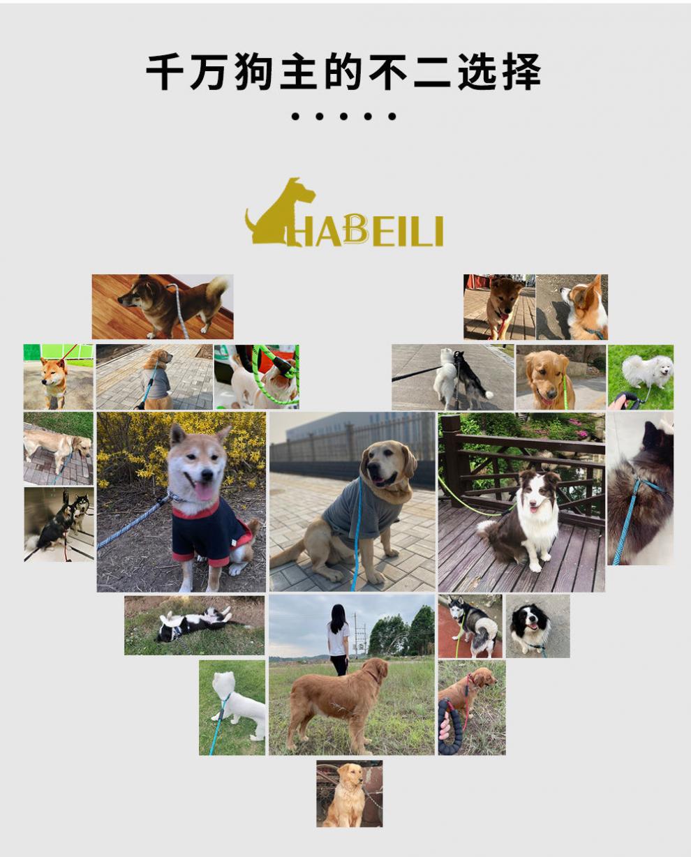 4dfa22e5-c2b7-455e-b91a-204df5488f62.jpe