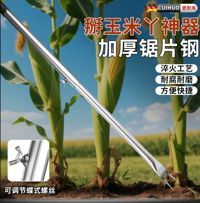 详情_01.jpg