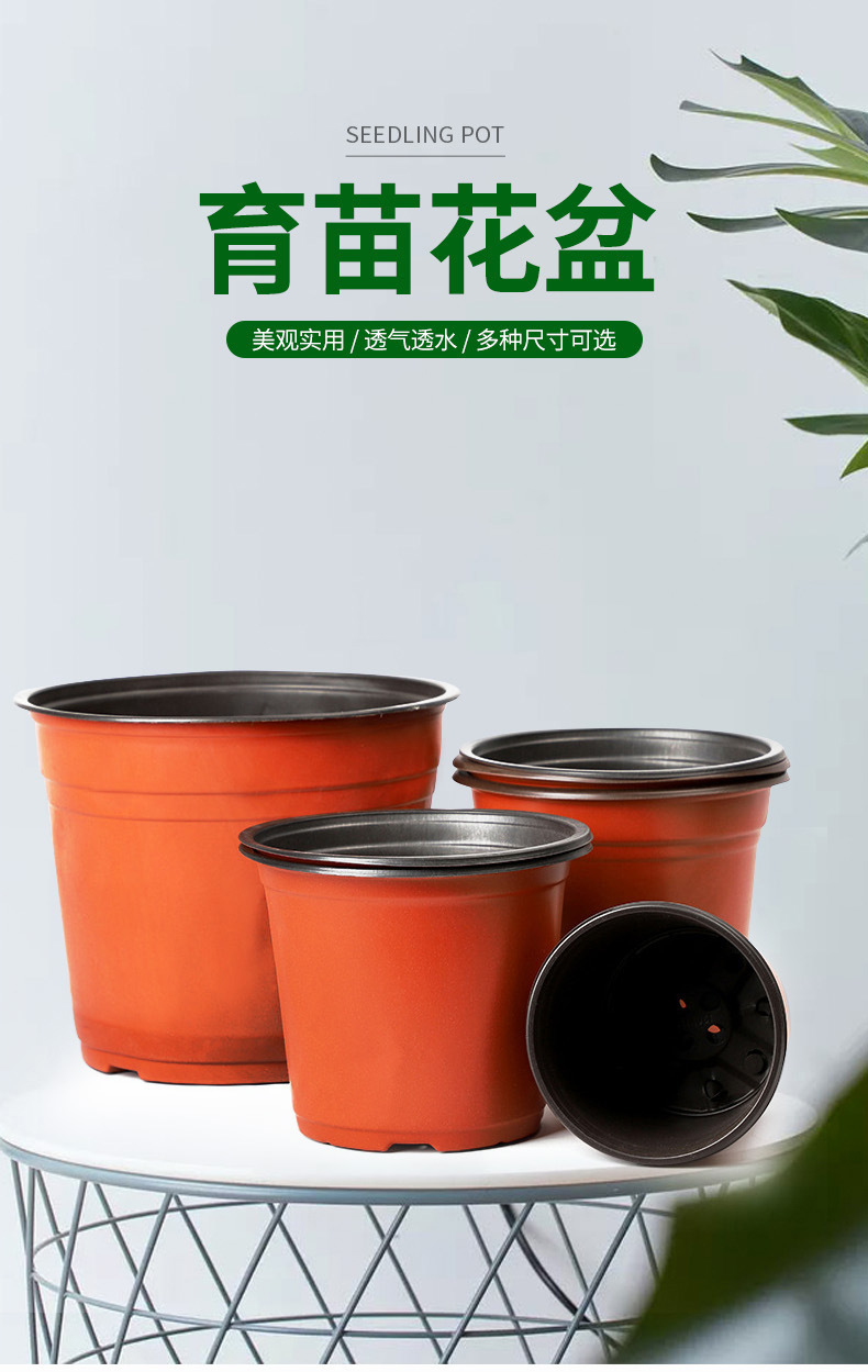 双色育苗盆,批发透气绿萝多肉花卉塑料花盆,加厚圆形双色pp塑料花盆