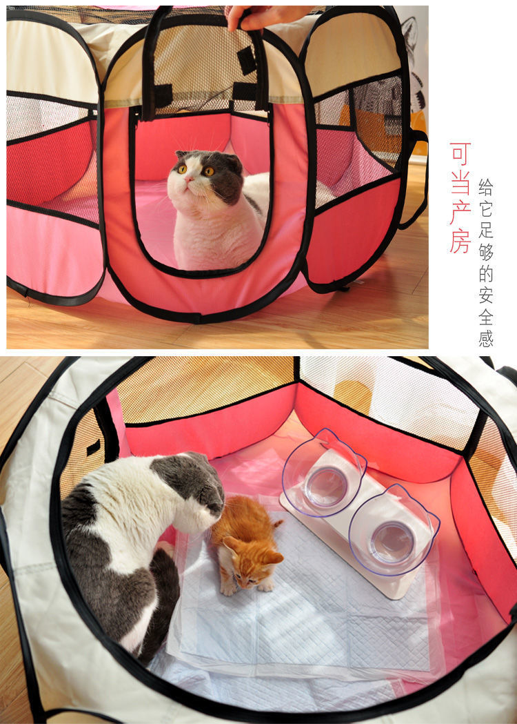 a51912cb-3267-4532-a0b0-efca722688b4.jpe