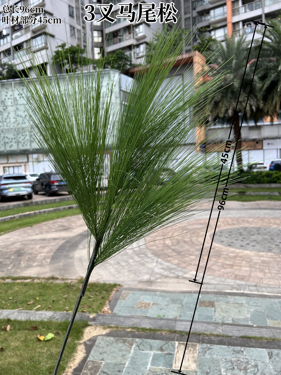 微信图片_20241005111005