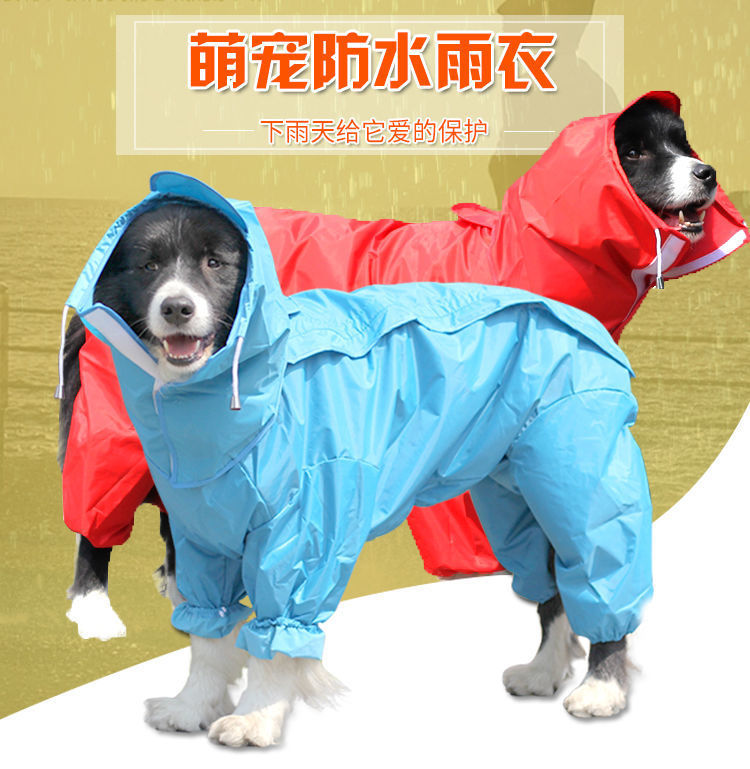 e6b06bae-75c5-47ae-ad56-919bb7613aee.jpe