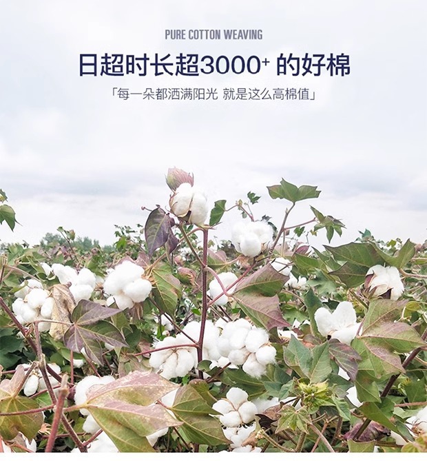 a00ff058-ac5e-4ee1-978d-317099bf5405.jpe