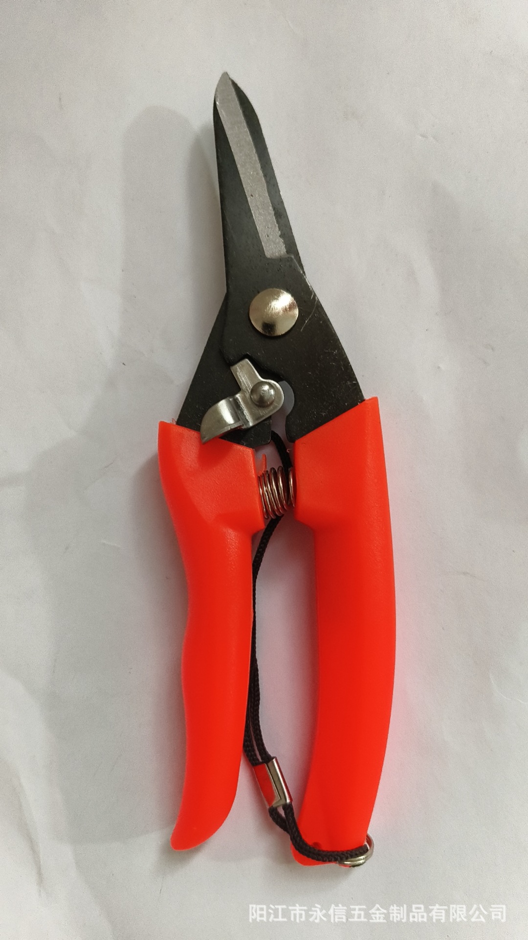 微信图片_20240520153203