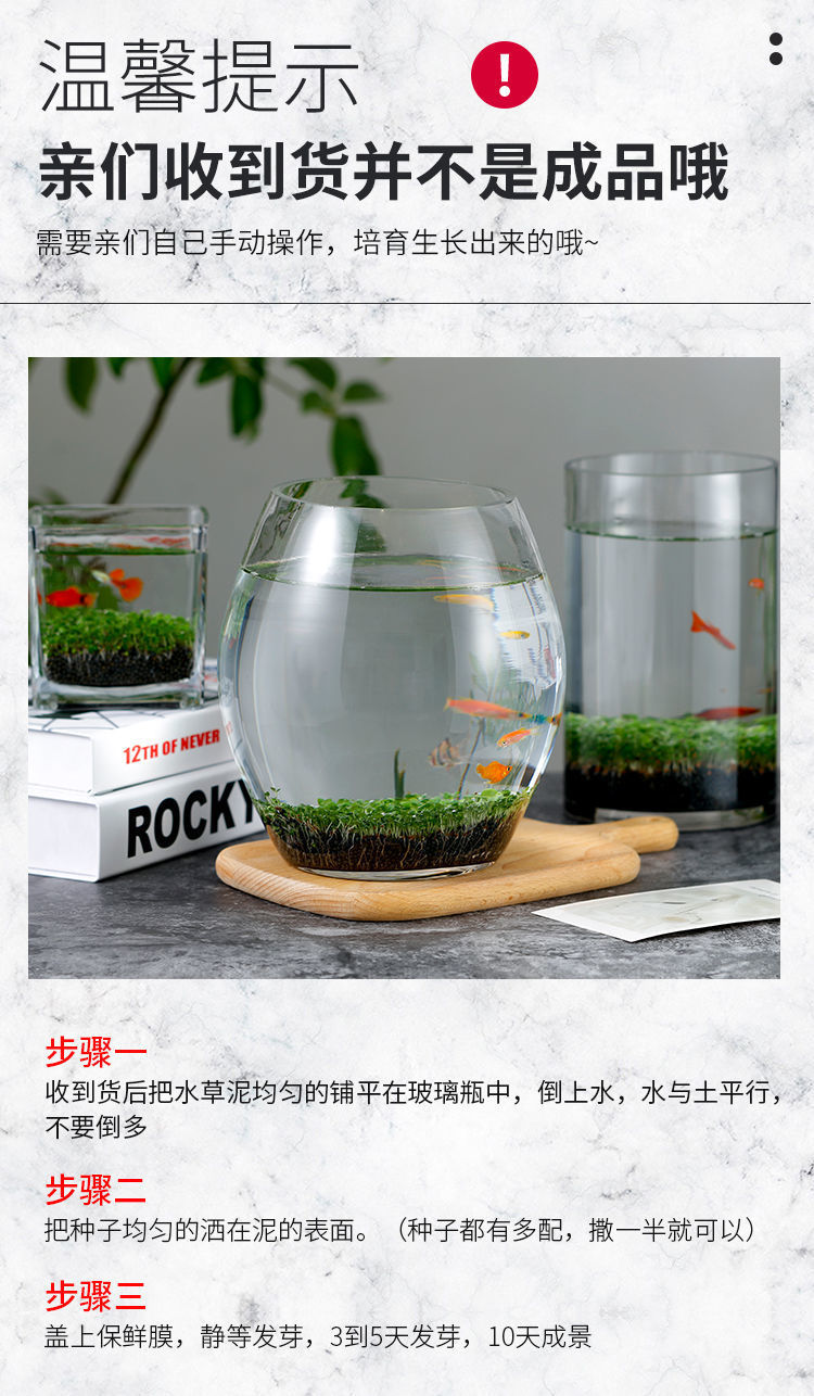 4a66b0dc-8a3f-4544-a20f-2cb65b59771e.jpe