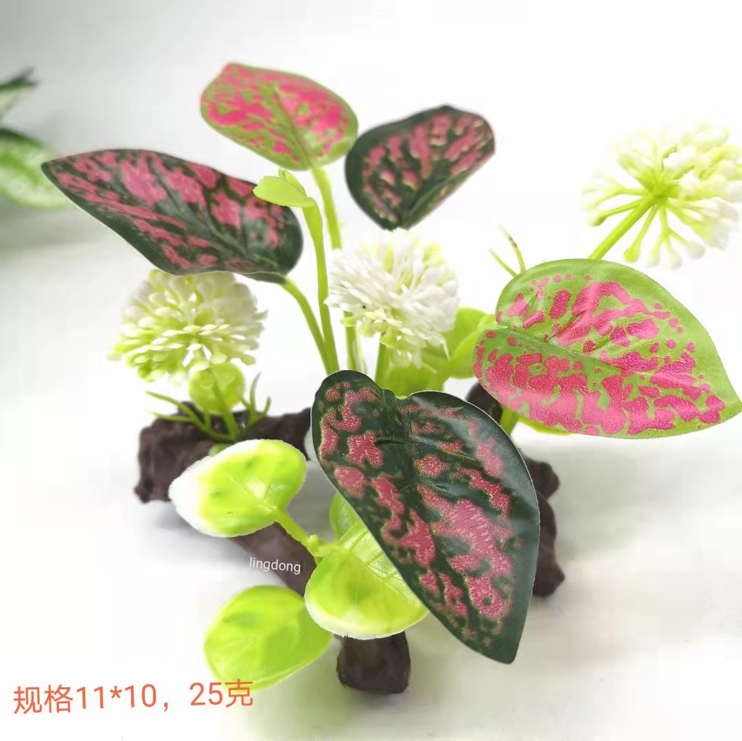 微信图片_202110111144235