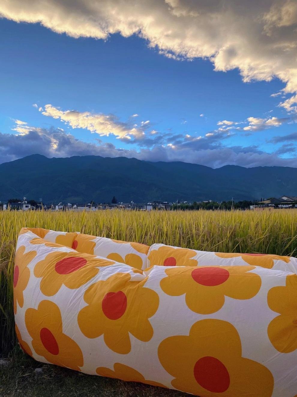 a692dea0-55ee-4b1f-8b9e-4fb50aa5837f.jpe