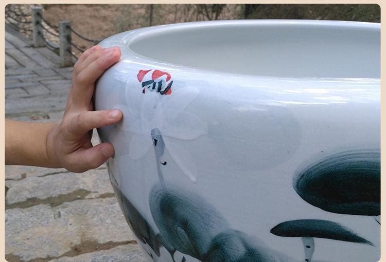 d0b97235-5f45-4749-ac72-e5fa56908e68.jpe