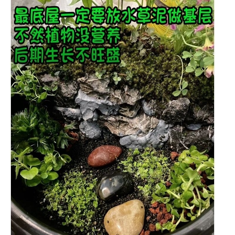 9b7f2867-9a1b-457c-b7f6-5e43f9359944.jpe