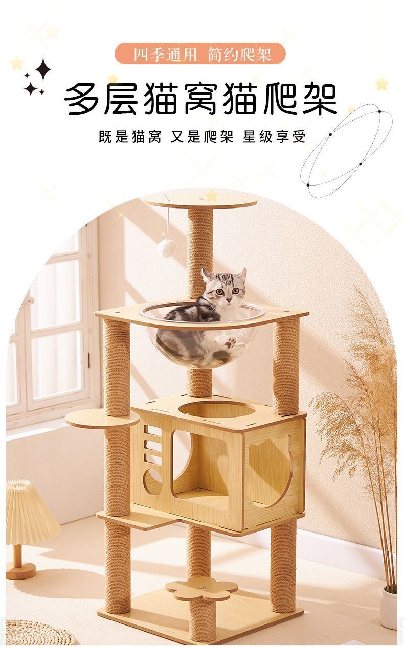 c704f97a-eaf3-49f4-92b2-2807c1835b80.jpe