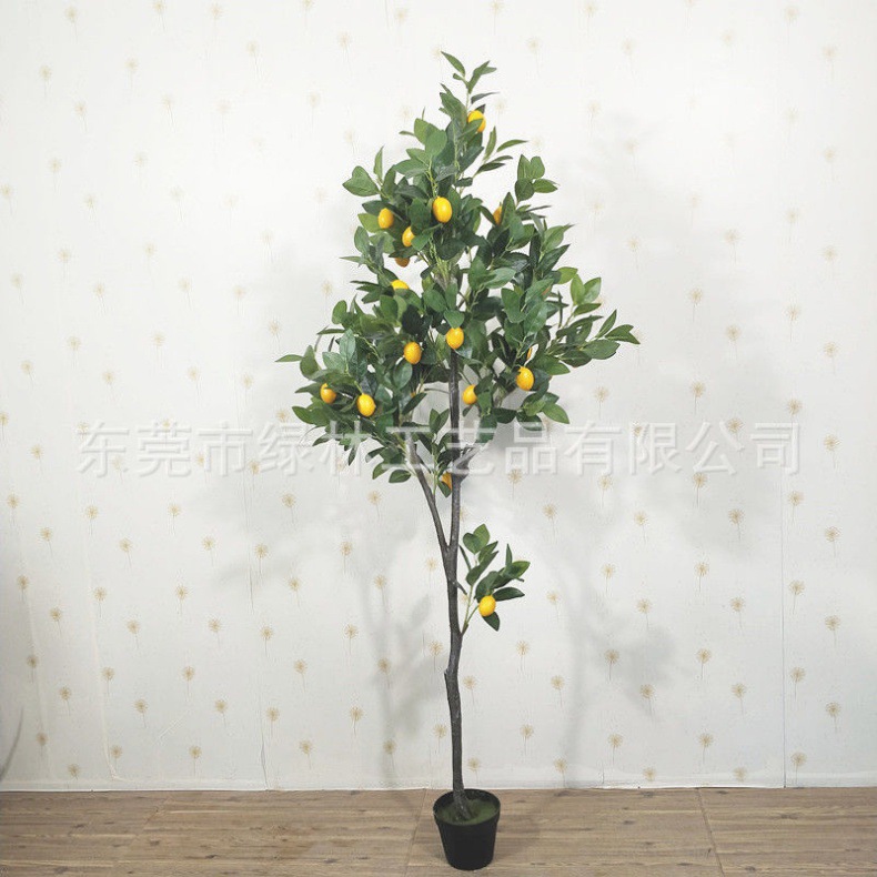 0b098b95c8c198648f788aa8844d70