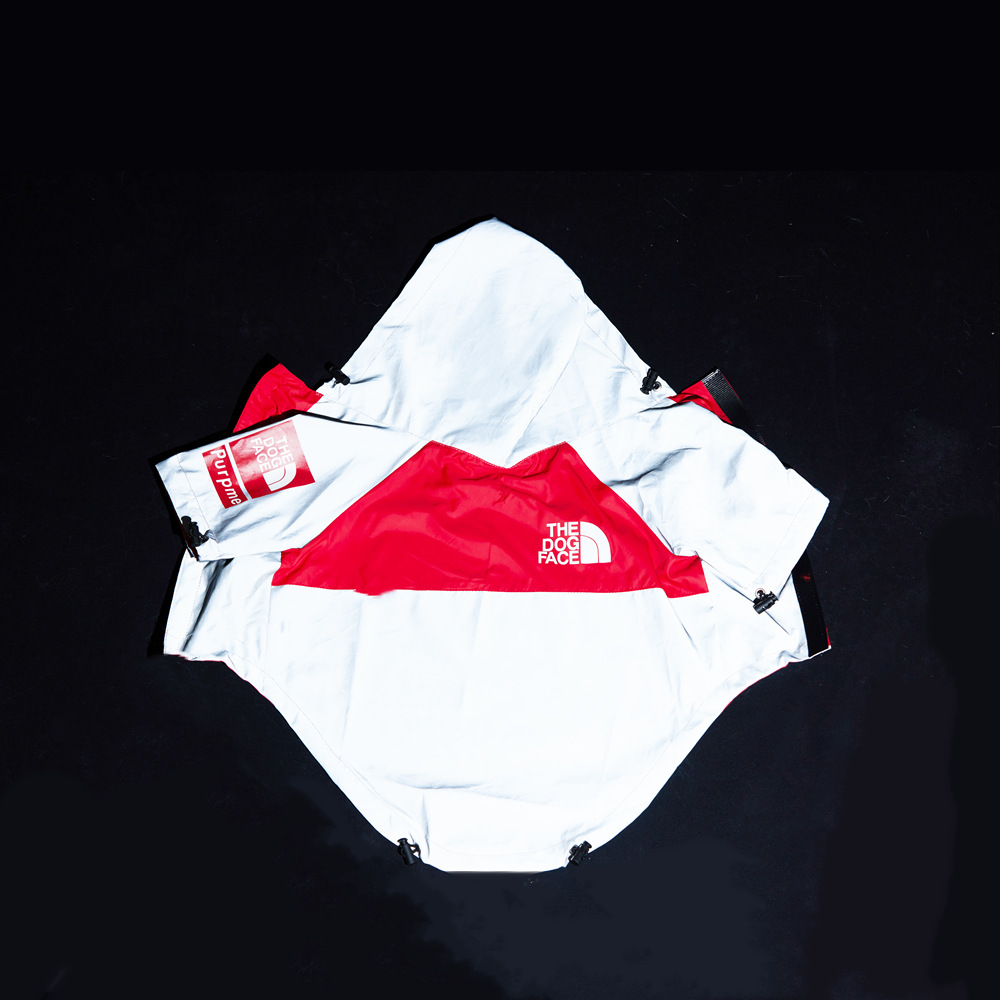 悦宠原片-20_副本.png