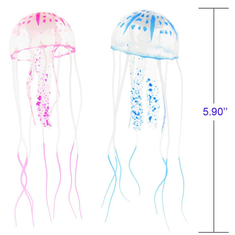 51GwT16WLdL._AC_SL1000_