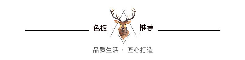 颜色定制