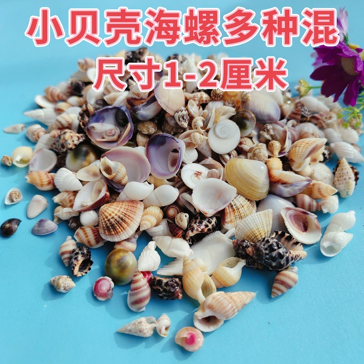 MTXX_MH20240420_083816566