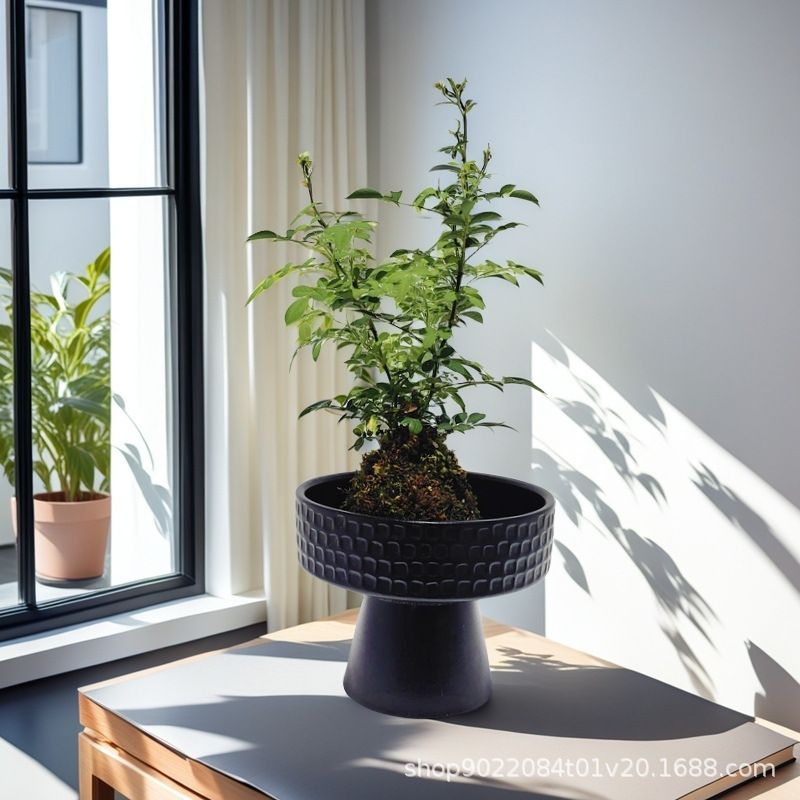 8024e28db6659923379f76e73004ea