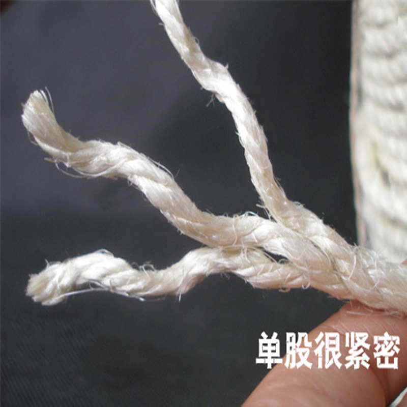 100_05.jpg