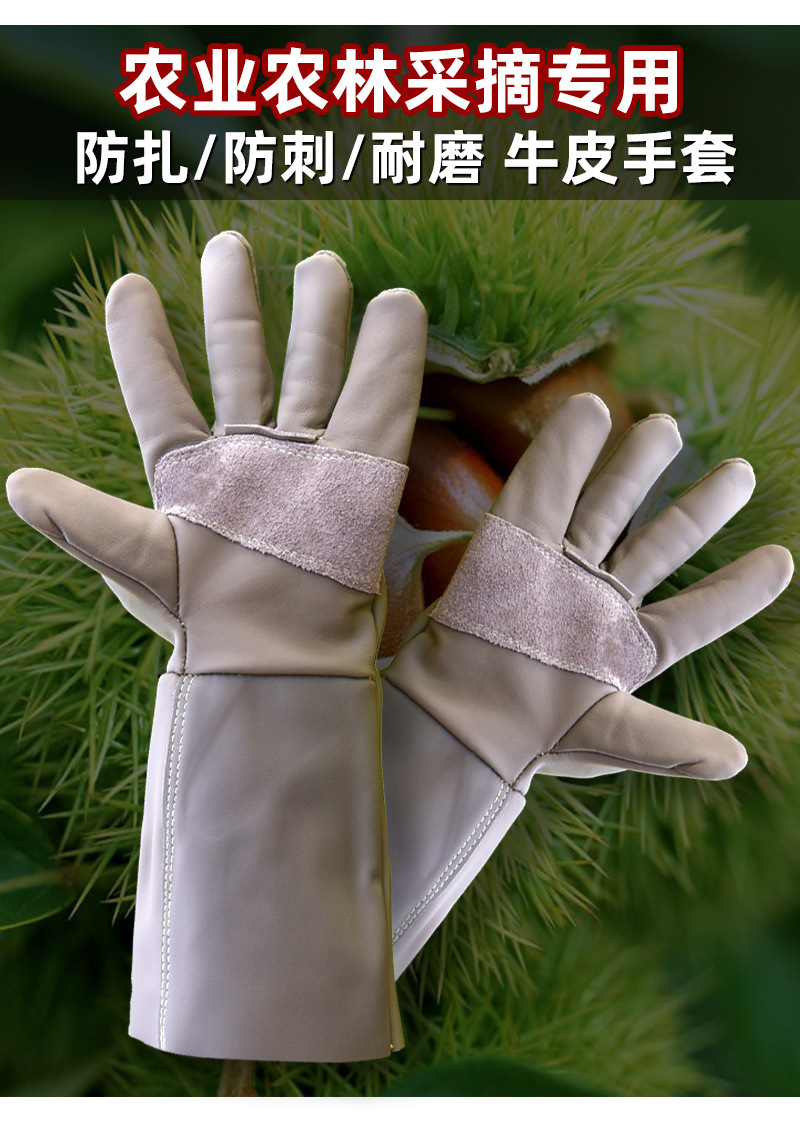 园林_06.jpg