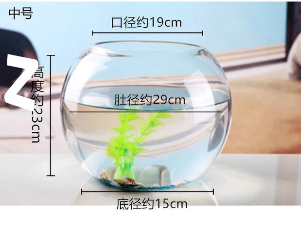 b375217f-42d1-42f3-8569-f6dcd9cb1861.jpe