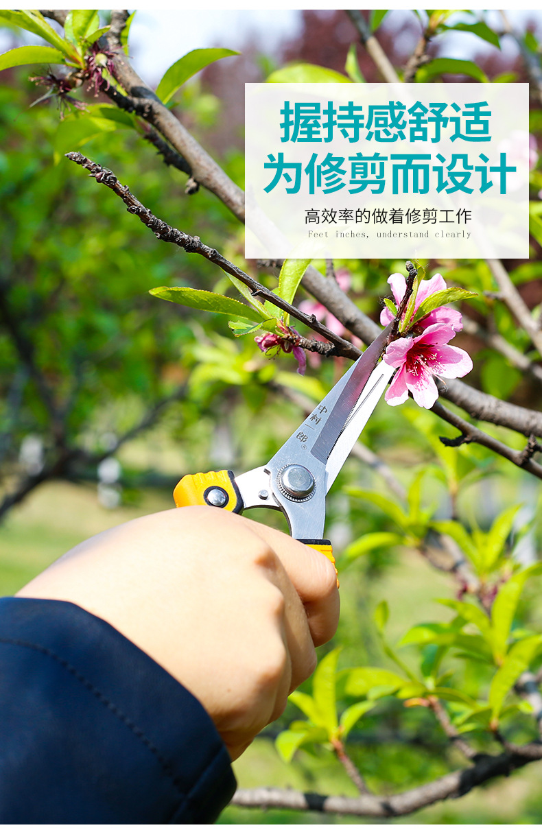 稀果剪_13.jpg