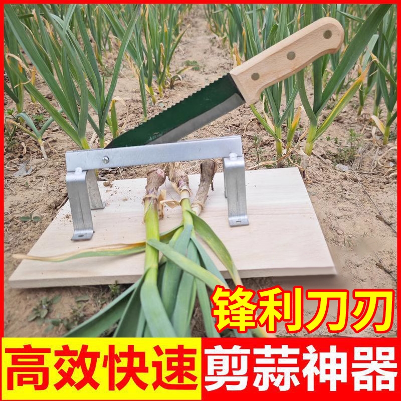 详情图01.jpg