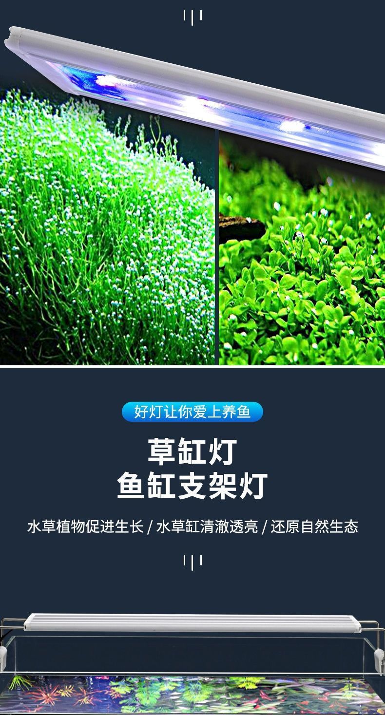 7ba0f744-6ecd-4409-8fe4-ca78658193a8.jpe