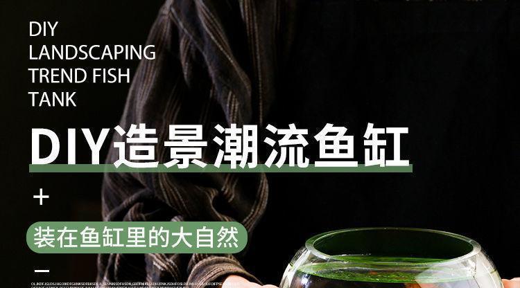 9d523c72-346a-439c-8767-215aaba83fb4.jpe