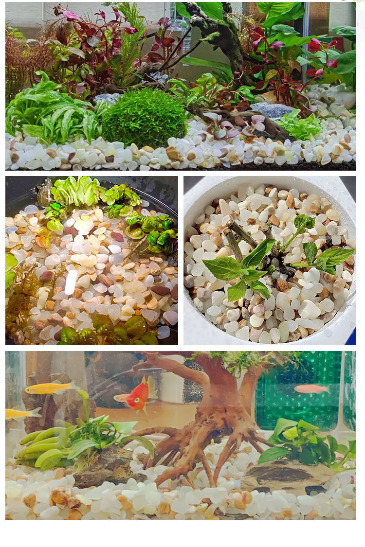 65b2cee9-3cff-4b91-90c6-51cb2bc493a2.jpe