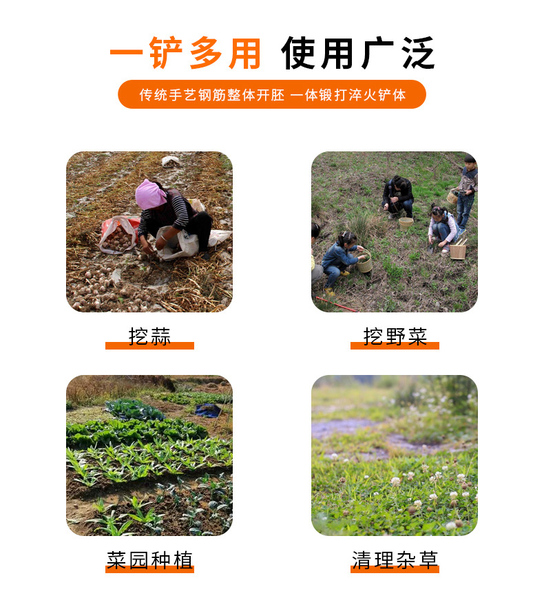 详情_06.jpg