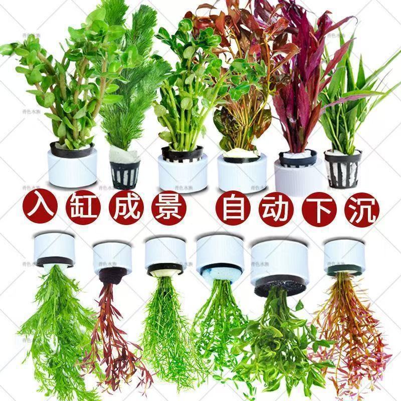 f1ffeb83-02fc-45f3-bf48-222dd3d9bd7a.jpe